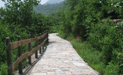 大岭沟猕猴桃谷风景区 大岭沟猕猴桃谷风景区 大岭沟猕猴桃谷风景区介绍