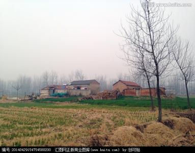 易经农村住宅大门风水 农村说：农村住宅门前种植这些树木，才能财源广进