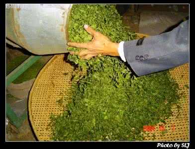 安溪铁观音 图解 安溪铁观音制作的基本程序所见最全的