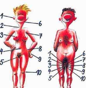性爱高潮时女性的身体变化：血流从盆骨扩散