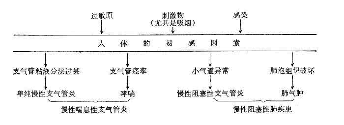 慢性支气管炎 转  慢性支气管炎　（方数：16）---2