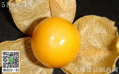 胃不好可以吃芒果吗 姑娘果皮能吃吗