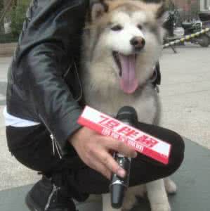 男说女二货是什么意思 二货是什么意思