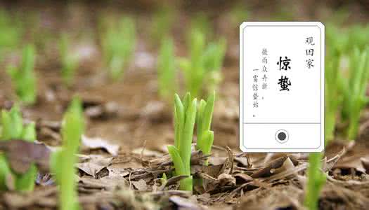 道家养生学概要 惊蛰养生概要