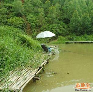 家在水草丰茂的地方 夏天如何在有水草的地方选择窝点