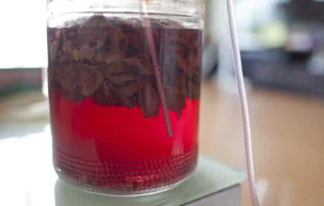 宾克斯的美酒 自酿李子美酒