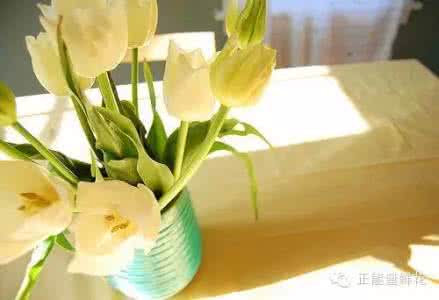 成败得失 安于得失,淡于成败,依旧向前