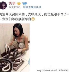 黄鳝女主播是什么梗 女主播完整版在哪里看 女主播黄鳝是什么梗