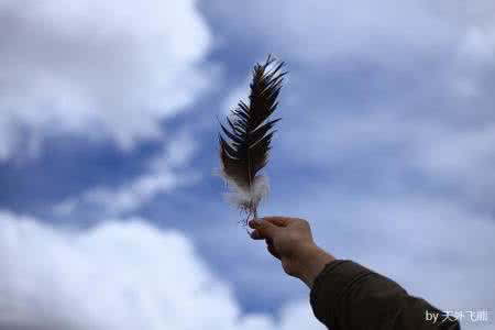 生命的最高境界 【生命的最高境界（值得深思）】