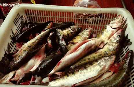 小河鱼干怎么做好吃 孕妇可以吃干小河鱼吗？