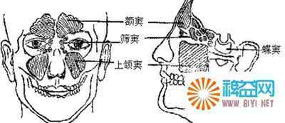 鼻窦炎的最好治疗方法 鼻窦炎的治疗方法 治疗鼻窦炎方法多样化