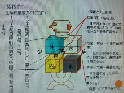 六经辨证 六经辨证头痛 经前头痛的辨证治疗