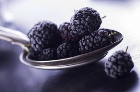 女人喝桑葚酒的好处 桑葚的好 很少人知道