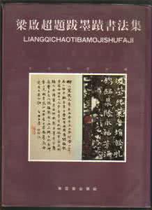 梁启超少年中国说 中国历代禁书题解(西政丛书)晚清-梁启超所辑(译书集)