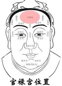 从政和经商哪个好 面相看你适合经商或从政