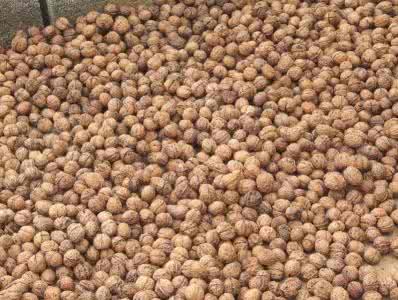 健脑补肾丸 核桃：补肾健脑防治结石