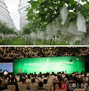 贵州省食品安全条例 贵州省生态农业与食品安全论坛近日举行