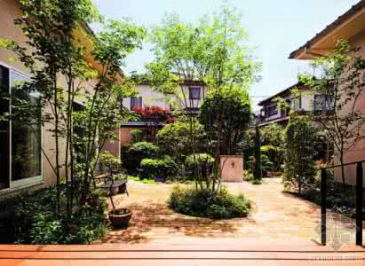 中庭和庭院 中庭之家庭院景观