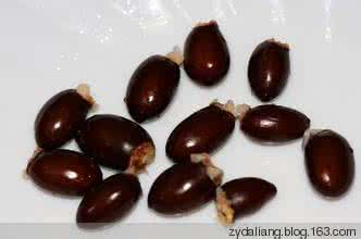 糖尿病偏方奇效方 糖尿病奇方(10P)