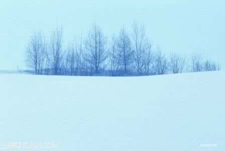 冰雪查干湖摄影大赛 冰雪摄影技巧大分析