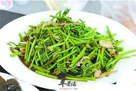 蕨菜 蕨菜应该怎样吃 乱吃当心惹癌症