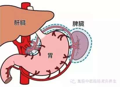 脾虚肾虚怎么治疗 脾虚肾虚怎么治疗 肾虚，肺虚，脾虚？来看这里！