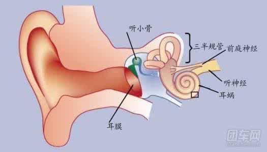 前庭迷路性共济失调 前庭平衡失调 前庭平衡失调怎么办？