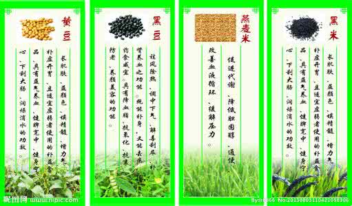 五谷杂粮的功效 五谷杂粮搭配好，它们功效真不少！