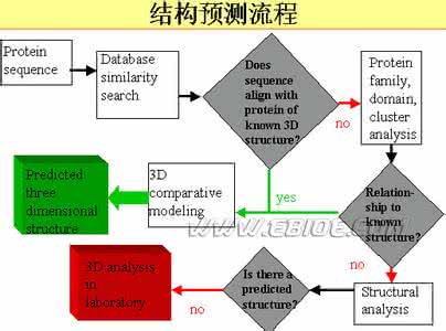 protein prediction protein prediction Prediction of protein coding regions by the 3-base periodicity