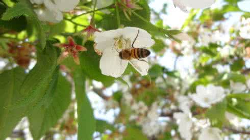 轻握一份懂得什么意思 轻握一份懂得