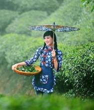春雷响动雨连绵 绵雨花絮，春枝响