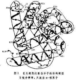 动态光散射技术 生物大分子的散射技术