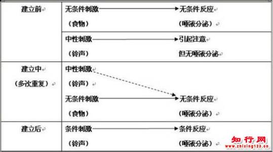 经典条件反射 经典条件反射 Classical Conditioning_经典条件反射