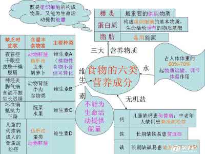 热量和蛋白质摄取量 热量和蛋白质摄取量 这才是蛋白质的正确摄取方法