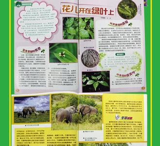 当代小说名家自选文库 《当代中国少年儿童报刊百卷文库:中国初中生报》