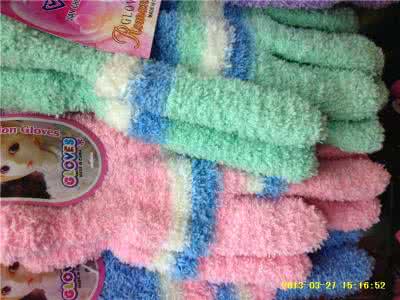 光明大陆密林绒蛛 光明绒