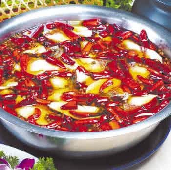 家常川菜600道 麻辣诱惑家常川菜200例