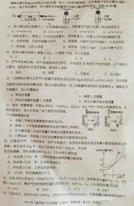 小鹿班比测试题及答案 化学竞赛班第一次测试题答案