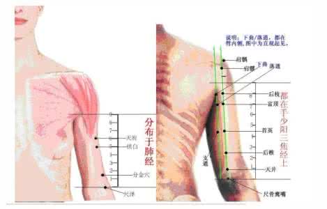 董氏针灸视频全集教程 珍贵《董氏针灸视频全集》