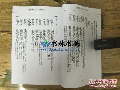 大六壬神煞 卷四 大六壬神煞指南