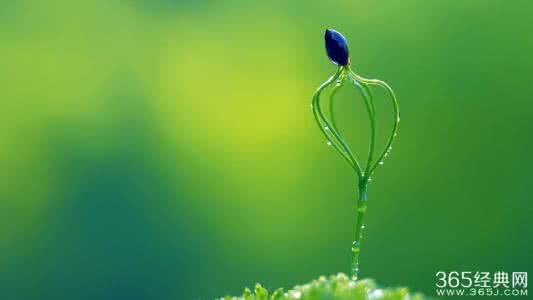 坚持下去的力量作文 坚持下去，惊喜从不会迟到