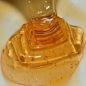 蜂蜜知识软件 蜂蜜知识大全