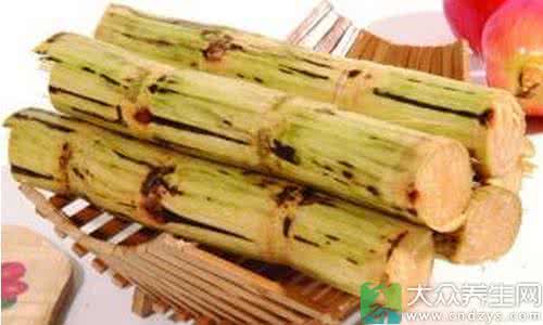 什么样的甘蔗不能吃 什么样的甘蔗有毒 什么样的甘蔗不能吃