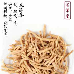 太子参 太子参 太子参简介