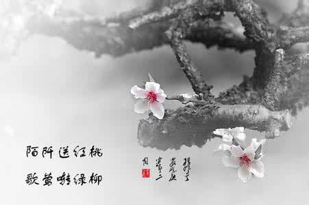 水墨京韵 一色水墨，万般情韵