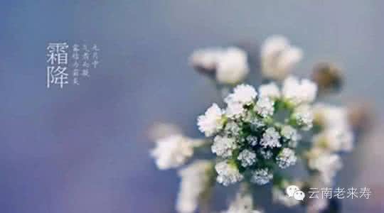 霜降节气 2014霜降时间 霜降节气是什么意思