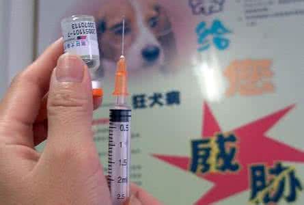狂犬疫苗多久产生抗体 狂犬疫苗多久产生抗体 打了狂犬疫苗却不如没打的抗体强吗