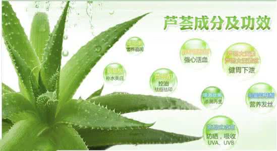 芦荟胶有什么功效 芦荟有什么样的功效