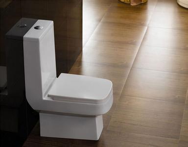 冲水马桶漏水怎么办 家里的马桶漏水怎么办