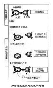 易经的智慧1 160全集 (1)第七部分《易经》的应用   癌症的医治原理